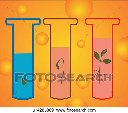 Stock Illustration - Test tubes with growing plants. Fotosearch