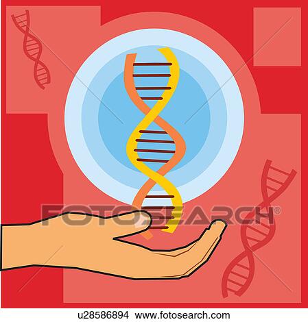 Closeup of a hand holding dna View Large Illustration Stock Illustration - Closeup of a hand holding dna. Fotosearch