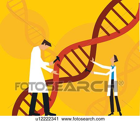 Two scientists fixing dna View Large Illustration Clip Art - Two scientists fixing dna. Fotosearch
