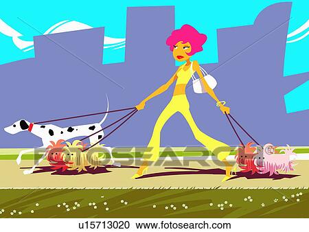 Clipart - Athletic woman walking five dogs together. Fotosearch