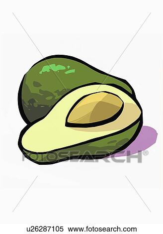 Stock Illustration - A whole avocado next to an avocado half. Fotosearch