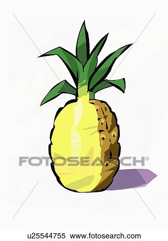Stock Illustration - A whole pineapple. Fotosearch