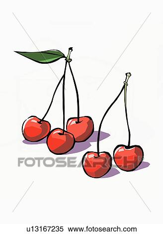 Cherries on their stems View Large Illustration Stock Illustration - Cherries on their stems. Fotosearch