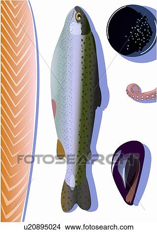 Stock Illustration - Fish and seafood medley. Fotosearch