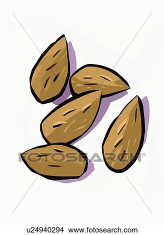 Five almonds View Large Illustration Stock Illustration - Five almonds. Fotosearch