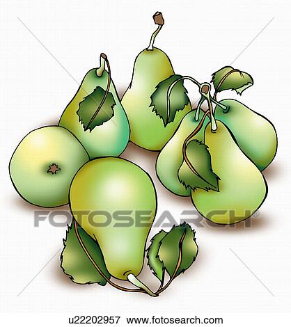Stock Illustration - Fresh green pears. Fotosearch