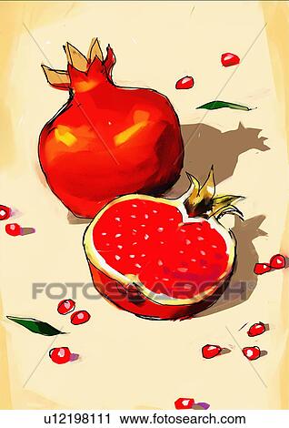 One whole and one half pomegranate View Large Illustration Clip Art - One whole and one half pomegranate. Fotosearch