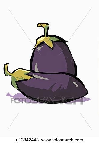 Two eggplants View Large Illustration Drawing - Two eggplants. Fotosearch
