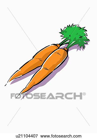 Stock Illustration - Two whole carrots with greens. Fotosearch