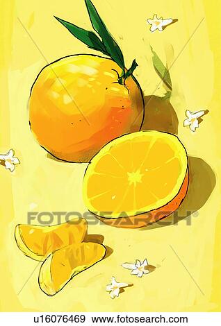 Stock Illustration - Whole and cut oranges. Fotosearch