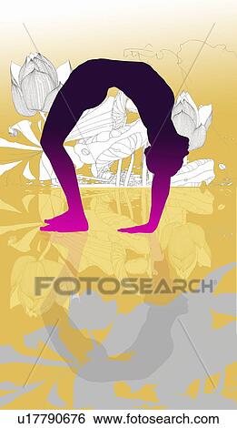Woman performing a yoga wheel pose View Large Illustration Stock Illustration - Woman performing a yoga wheel pose. Fotosearch