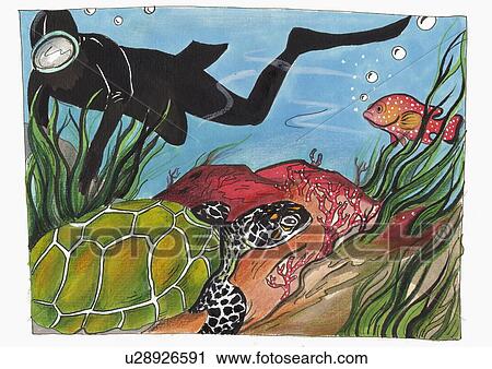 Clip Art - Scuba diver swimming alongside a sea turtle and fish. Fotosearch