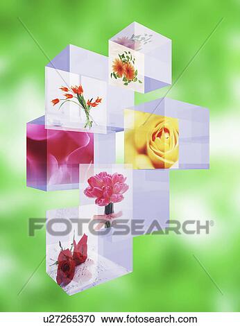 Collage of beautiful flowers View Large Illustration Clipart - Collage of beautiful flowers. Fotosearch