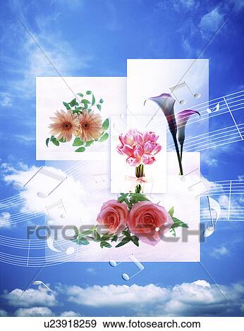 Collage of beautiful flowers View Large Illustration Stock Illustration - Collage of beautiful flowers. Fotosearch