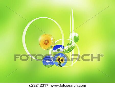 Stock Illustration - Collage of landscape and flowers. Fotosearch