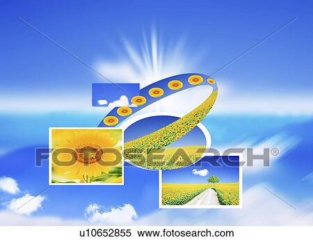 Collage of sunflowers View Large Illustration Stock Illustration - Collage of sunflowers. Fotosearch