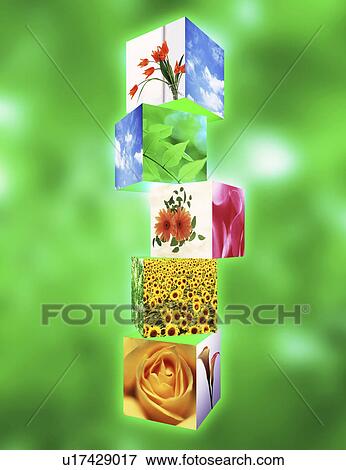 View of beautiful flowers View Large Illustration Stock Illustration - View of beautiful flowers. Fotosearch