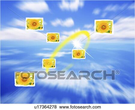 View of collage of sunflowers View Large Illustration Stock Illustration - View of collage of sunflowers. Fotosearch
