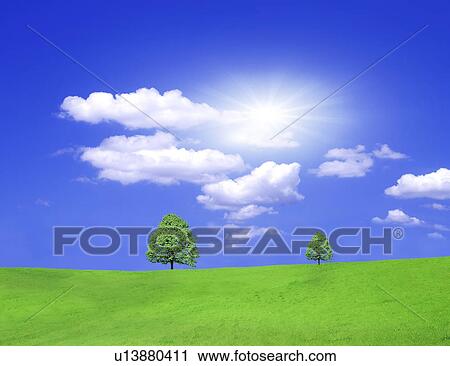 Clip Art - View of green field. Fotosearch