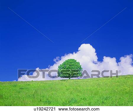 Clip Art - View of green field. Fotosearch