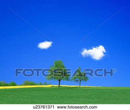 Clip Art - View of green field. Fotosearch