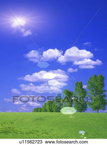 Drawing - View of green field. Fotosearch