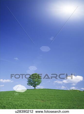Drawing - View of green field. Fotosearch