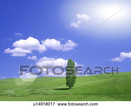 Stock Illustration - View of green field. Fotosearch