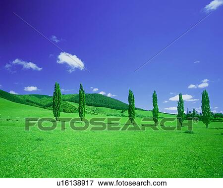 Stock Illustration - View of green field. Fotosearch