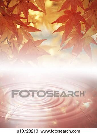 Drawing - View of leaves (digital composite). Fotosearch