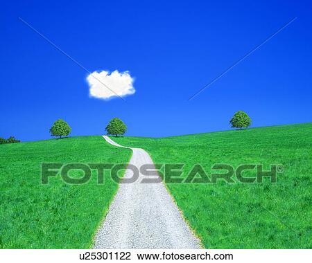 Drawing - View of pathway amid landscape. Fotosearch