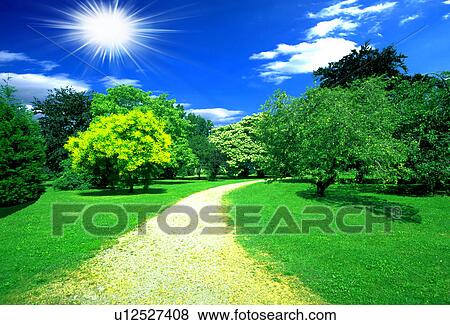 View of pathway amid trees View Large Illustration Stock Illustration - View of pathway amid trees. Fotosearch