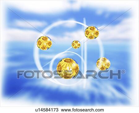 View of sunflower bubbles View Large Illustration Drawing - View of sunflower bubbles. Fotosearch