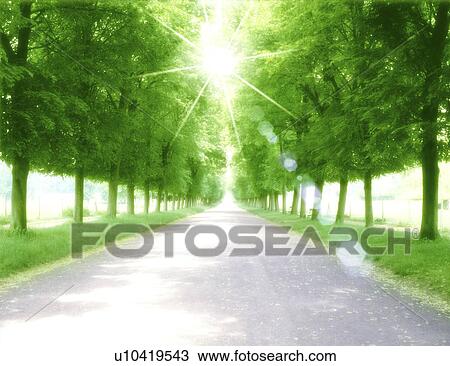 Drawing - View of sunlight amid roadway and trees. Fotosearch