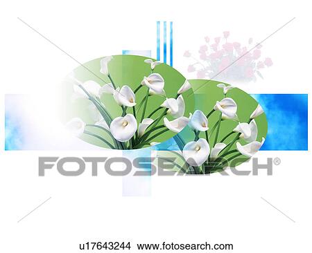 View of white flowers View Large Illustration Stock Illustration - View of white flowers. Fotosearch