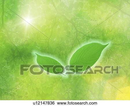 Close-up of green leaves (digital composite) View Large Photo Image Stock Photograph - Close-up of green leaves (digital composite). Fotosearch