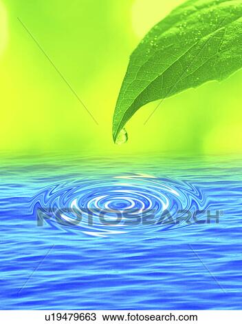 Stock Image - Droplet of water on a tip of a leaf (digital composite). Fotosearch