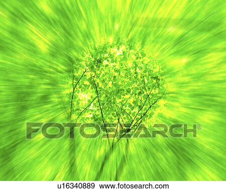 Stock Photo - Long exposure of trees (digital composite). Fotosearch