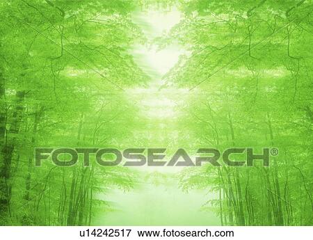 Low angle view of trees View Large Photo Image Stock Photo - Low angle view of trees. Fotosearch