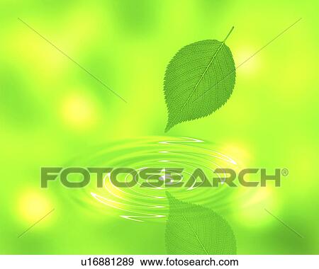 Stock Photo - Reflection of a leaf in water (digital composite). Fotosearch