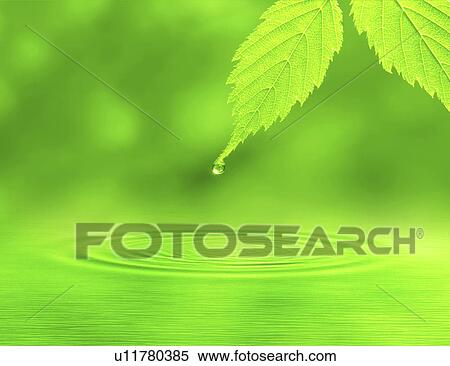 Stock Photography - Ripples formed by water droplet falling from a leaf. Fotosearch