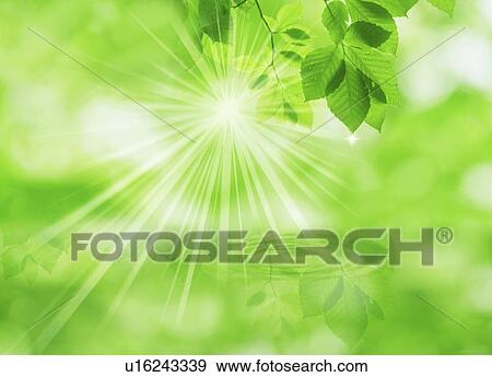Stock Photo - Sunlight through leaves over water (digital composite). Fotosearch