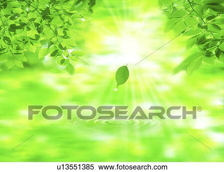 Sunlight through leaves over water (digital composite) View Large Photo Image Stock Photography - Sunlight through leaves over water (digital composite). Fotosearch
