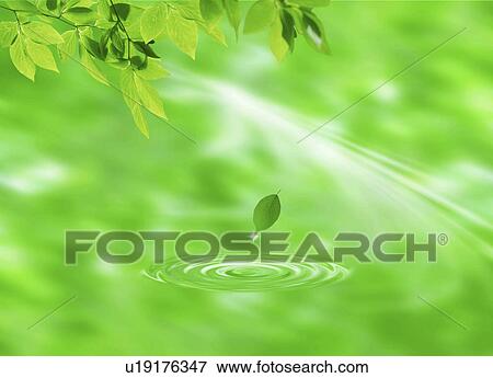 Stock Photo - View of a leaf falling in water (digital composite). Fotosearch