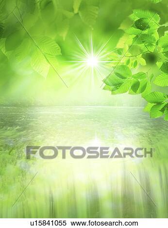 Stock Photography - View of leaves and waterfall (digital composite). Fotosearch