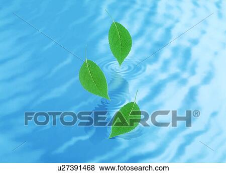 View of leaves falling in water (digital composite) View Large Photo Image Stock Photo - View of leaves falling in water (digital composite). Fotosearch