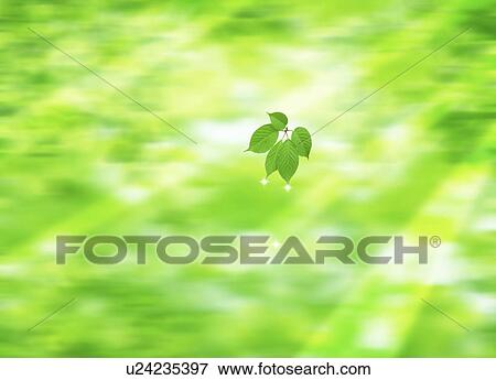 View of sunlight through leaves (digital composite) View Large Photo Image Stock Photo - View of sunlight through leaves (digital composite). Fotosearch