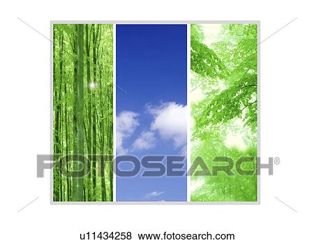 Stock Illustration - A collage of a sky amid trees. Fotosearch