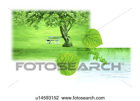 Drawing - A collage of leaves with a park and water (digital composite). Fotosearch