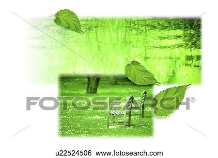 A collage of leaves with a park and water (digital composite) View Large Illustration Stock Illustration - A collage of leaves with a park and water (digital composite). Fotosearch